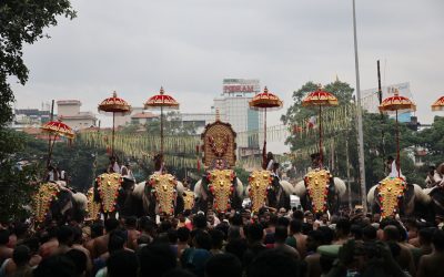 ಪೂರಂ ಎಂಬ ಸಂಭ್ರಮವೂ ಆನೆಗಳ ಗಾಂಭೀರ್ಯವೂ