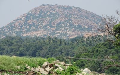 ಅಂಬಾಭವಾನಿಯ ಆರಾಧನೆಯ ದಿನಗಳು