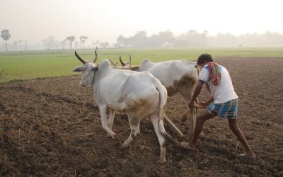 ಸುರಿವ ಮಳೆಯಲ್ಲಿ ಅಪ್ಪ ಮತ್ತು ನಾನು