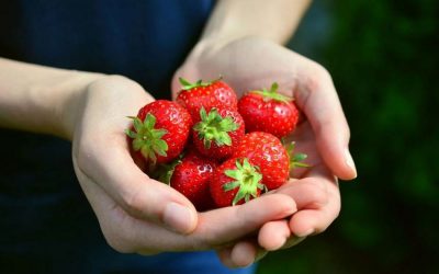 ದೂರದೂರಿನ ನೆಂಟತನವೂ, ನೆರೆಹೊರೆಯವರ ಸ್ನೇಹಹಸ್ತವೂ