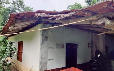 ಹಾವು ಬಾವಲಿಗಳ ಸ್ನೇಹಕ್ಕೆ ಕಾಯುತ್ತ