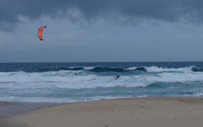 ಬಿಸಿಲ ಧಗೆ, ಚಳಿಯ ಹೊರೆಗಳ ನಡುವೆ ಅರಳುವ ಡಾಫೋಡಿಲ್ ಎಲ್ಲಿದೆ..