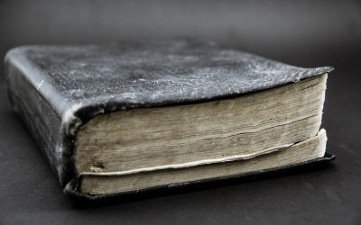 ಕೆ.ವಿ.‌ತಿರುಮಲೇಶ್ ಅವರ ಹೊಸ ಸರಣಿ ಆರಂಭ