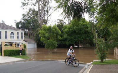 ಆಸ್ಟ್ರೇಲಿಯದ ಮಳೆ ಪ್ರವಾಹಗಳು, ಸೋಲುಗೆಲುವುಗಳು