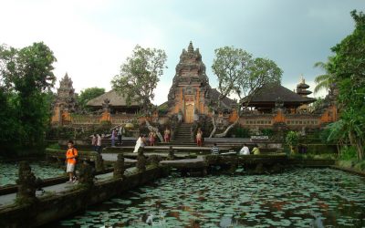 ವಿದೇಶಗಳಲ್ಲಿ ಹಿಂದೂ ಸಂಸ್ಕೃತಿಯ ಪ್ರಸಾರ