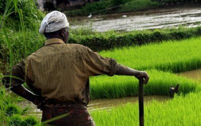 ಹೃದಯ ವೈಶಾಲ್ಯತೆಗೆ ಬೇಲಿ ಹಾಕಿಕೊಳ್ಳುವ ಅನಿವಾರ್ಯ!