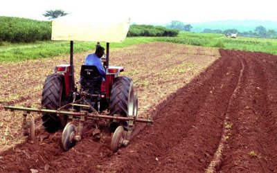 ರೈತನ ಮಿತ್ರ ಎರೆಹುಳು ಆದರೆ ಅದರ ವೈರಿ…?