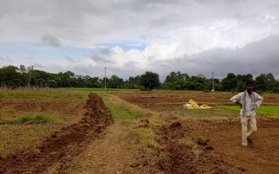 ಸರಿರಾತ್ರಿಯಲಿ.. ಹುಳ ಹುಪ್ಪಟೆಗಳ ಸಂಗದಲಿ…