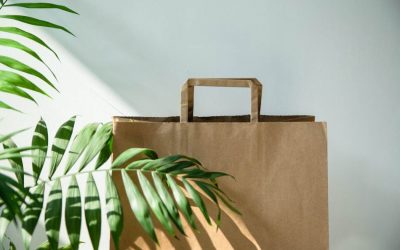 ಪೊಟ್ಟಣದ ಮೆಲುಕಿನಲ್ಲಿ..