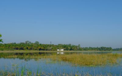 ತೀರಿಹೋದ ತಿರುಮಲೇಶರ ಕುರಿತು