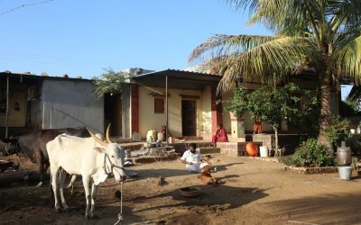 ನಿಮ್ಮ ಜಾತಿ ಯಾವುದು!