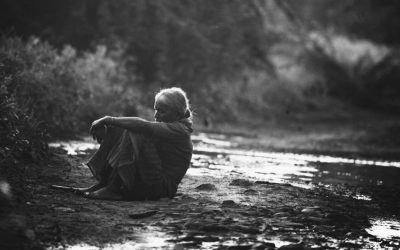 ನೆರಿಗೆಬಿದ್ದ ನವಿಲುಗರಿ