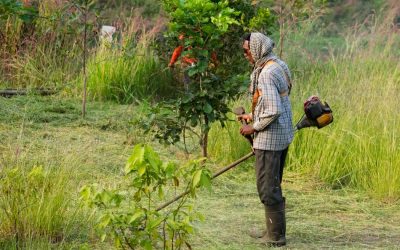 ಕಳೆ ಕತ್ತರಿಸುವ ಯಂತ್ರ ಎಂಬ ಅದ್ಭುತ ಸಾಧನ