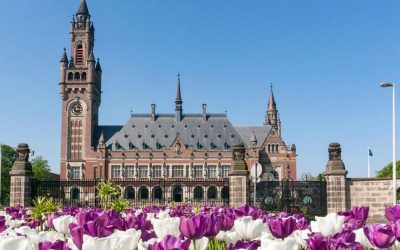 ಹಸಿವು ಇಂಗಿಸುವ ಬಿಸ್ಕಿಟ್‌ ವಾಸನೆ….