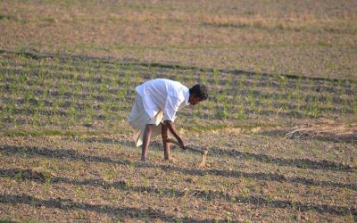 “ಸರ್ವೆ” ಜನಾಃ ದುಃಖಿನೋಭವಂತು!