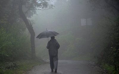 ಬಿಡದೇ ಸುರಿವ ಮಳೆಯೂ.. ಜೊತೆಗೆ ಕೊಡೆಯೂ: ಸುಮಾವೀಣಾ ಸರಣಿ