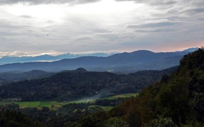 ಸುಮಾವೀಣಾ ಬರೆಯುವ “ಕೊಡಗಿನ ವರ್ಷಕಾಲ” ಸರಣಿ ಆರಂಭ