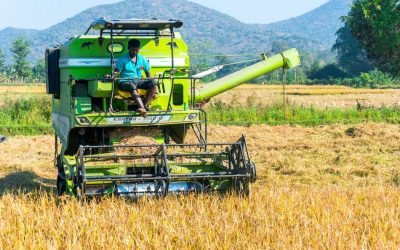 ಕೊನೆಗೂ ಕೈಗೆ ಬಂದ ಭತ್ತ!: ಗುರುಪ್ರಸಾದ ಕುರ್ತಕೋಟಿ ಅಂಕಣ