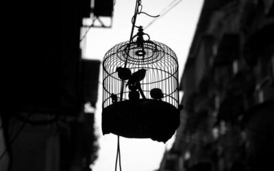 ನಿಯಂತ್ರಿಸುವ ಬುದ್ಧಿಯನ್ನು ನಿಯಂತ್ರಿಸೋಣವೇ?: ಮಾಲತಿ ಶಶಿಧರ್ ಅಂಕಣ