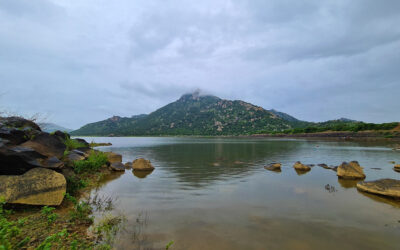 ʻಕೆರೆಯಂ ಕಟ್ಟಿಸು ಬಾವಿಯಂ ಸವೆಸುʼ: ಚಂದ್ರಮತಿ ಸೋಂದಾ ಸರಣಿ