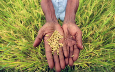 ಅನುಭವದಲ್ಲಿ ಅಮೃತ ಇದೆ: ಗುರುಪ್ರಸಾದ್‌ ಕುರ್ತಕೋಟಿ ಅಂಕಣ