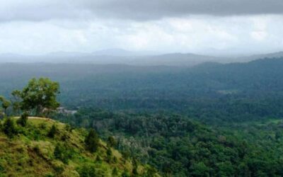 ಆದಿವಾಸಿಗಳ ಜಗತ್ತು: ಸತೀಶ್ ತಿಪಟೂರು ಬರಹ