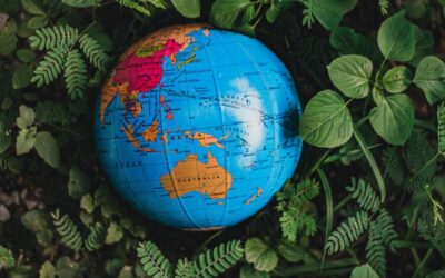 ಭೂಮಿಯ ಆರೋಗ್ಯ ನಮ್ಮ ಆರೋಗ್ಯವೆಂದ ಮಕ್ಕಳು : ಡಾ. ವಿನತೆ ಶರ್ಮ ಅಂಕಣ