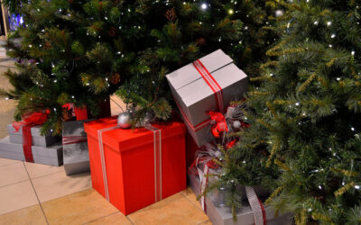 ಬೇಸಿಗೆ ರಜೆಯೆಂದರೆ …: ವಿನತೆ ಶರ್ಮ ಅಂಕಣ