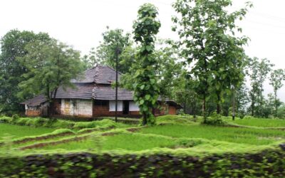 ನೆನಪುಗಳ ಬುತ್ತಿ “ನನ್ನ ಮನೆ”: ಮಾರುತಿ ಗೋಪಿಕುಂಟೆ ಸರಣಿ