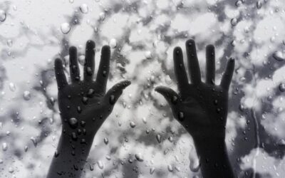 ಜೈಲು ಮತ್ತು ಮಳೆ: ಕೆ. ಸತ್ಯನಾರಾಯಣ ಸರಣಿ