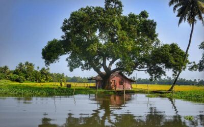 ಸುಧಾ ಆಡುಕಳ ಹೊಸ ಅಂಕಣ “ಹೊಳೆಸಾಲು” ಇಂದಿನಿಂದ ಆರಂಭ