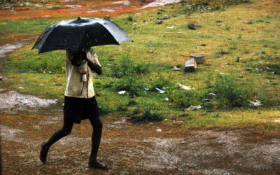 ಕೊಡೆ…. ಕೊಡೆ … ಎಲ್ನೋಡಿ ಕೊಡೆ: ಸುಮಾವೀಣಾ ಸರಣಿ