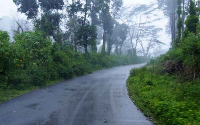 ಮಡಿಕೇರಿ ಮೇಲ್ ಮಂಜು: ಸುಮಾವೀಣಾ ಸರಣಿ