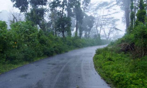 ಮಡಿಕೇರಿ ಮೇಲ್ ಮಂಜು: ಸುಮಾವೀಣಾ ಸರಣಿ