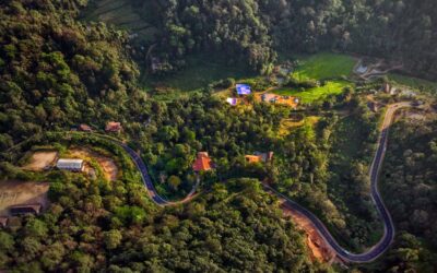 ಬದುಕಿನ ವರ್ಷಕಾಲದ ವಸಂತೋತ್ಸವ: ಸುಮಾವೀಣಾ ಸರಣಿ