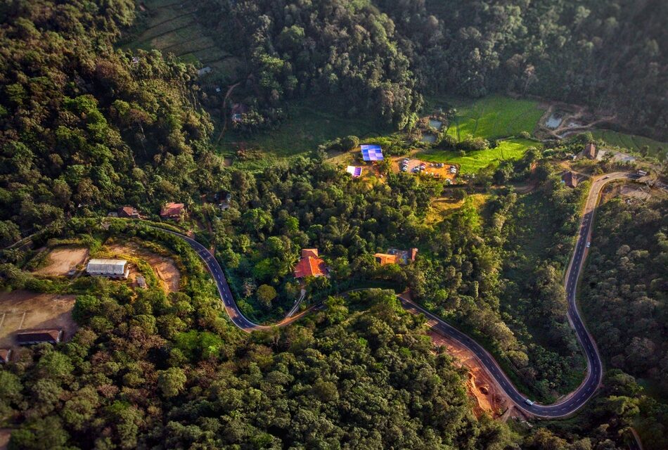 ಬದುಕಿನ ವರ್ಷಕಾಲದ ವಸಂತೋತ್ಸವ: ಸುಮಾವೀಣಾ ಸರಣಿ