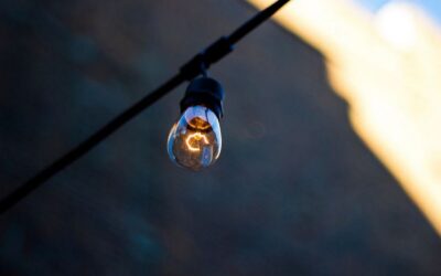 ಹೊಳೆಸಾಲಿಗೆ ಕರೆಂಟ್ ಶಾಕ್: ಸುಧಾ ಆಡುಕಳ ಅಂಕಣ