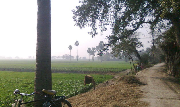 ಮತ್ತೆ ಸಿಗುವ ಆಶಯದ ಪಯಣ: ಚಂದ್ರಮತಿ ಸೋಂದಾ ಸರಣಿ