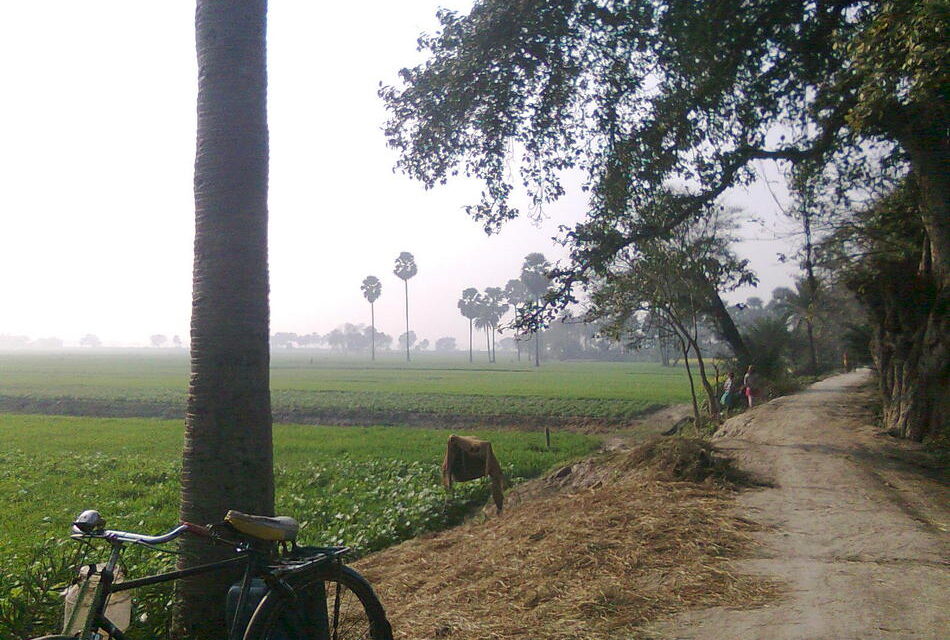 ಮತ್ತೆ ಸಿಗುವ ಆಶಯದ ಪಯಣ: ಚಂದ್ರಮತಿ ಸೋಂದಾ ಸರಣಿ