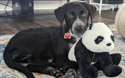 ಕೂರಾಪುರಾಣ ೫: ಸೂಜಿಗಳು ಮತ್ತು ಸಂಕಷ್ಟಗಳು