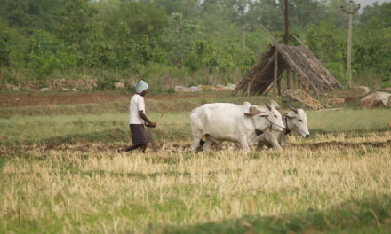 ಬೇಸಾಯ ಬದಲಾದದ್ದು: ಸುಮಾ ಸತೀಶ್ ಸರಣಿ