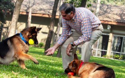ಕೂರಾಪುರಾಣ ೮: ಸ್ವಪ್ರೇಮ ಮತ್ತು ನಾಯಿಪ್ರೇಮ ಎಂಬ ಪರಿಶುದ್ಧ ಪ್ರೇಮಗಳು