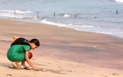 ಯಲ್ಲಮ್ಮ ಮತ್ತು ಮೀರಮ್ಮ…. ಏನೀ ಬಂಧ… ಅನುಬಂಧ…..!: ಎಲ್.ಜಿ.ಮೀರಾ ಅಂಕಣ