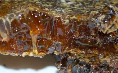 ನಾಲ್ಗೆ ಚಪ್ಲ ತೀರಿಸ್ತಿದ್ದ ತಿಂಡಿಗ್ಳು: ಸುಮಾ ಸತೀಶ್ ಸರಣಿ