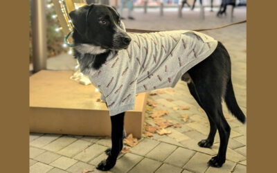 ಕೂರಾಪುರಾಣ ೧೧: ಅವನಿದ್ದರೆ ಮನೆ ತುಂಬಿದಂತೆ, ಮನಸ್ಸು ಅರಳಿದಂತೆ…