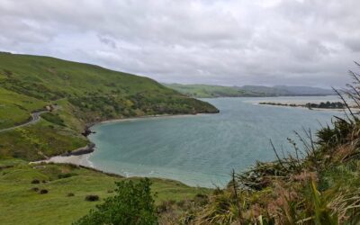 ಕೀವೀ-ಕಾಂಗರೂ ದೇಶಸ್ಥರ ನೆಂಟಸ್ತನ: ವಿನತೆ ಶರ್ಮ ಅಂಕಣ