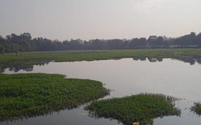 ನಮ್‌ ಸೈಟ್‌ ಎಲ್ಲಿದೆ! : ಎಚ್. ಗೋಪಾಲಕೃಷ್ಣ ಸರಣಿಯ ಐವತ್ತನೆಯ ಕಂತು!