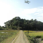 ಮಂತ್ರುಕ್ಕೆ ಮಾವಿನ್ ಕಾಯೂ ಉದುರ್ತೈತೆ: ಸುಮಾ ಸತೀಶ್ ಸರಣಿ