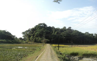 ಮಂತ್ರುಕ್ಕೆ ಮಾವಿನ್ ಕಾಯೂ ಉದುರ್ತೈತೆ: ಸುಮಾ ಸತೀಶ್ ಸರಣಿ