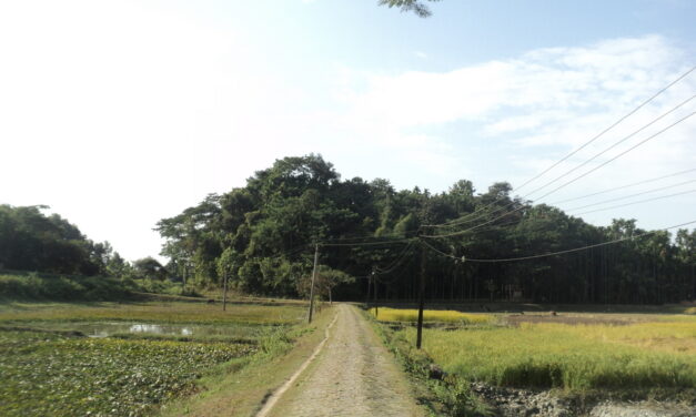 ಮಂತ್ರುಕ್ಕೆ ಮಾವಿನ್ ಕಾಯೂ ಉದುರ್ತೈತೆ: ಸುಮಾ ಸತೀಶ್ ಸರಣಿ